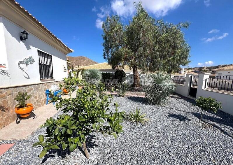 3 Cuarto Villa en venta