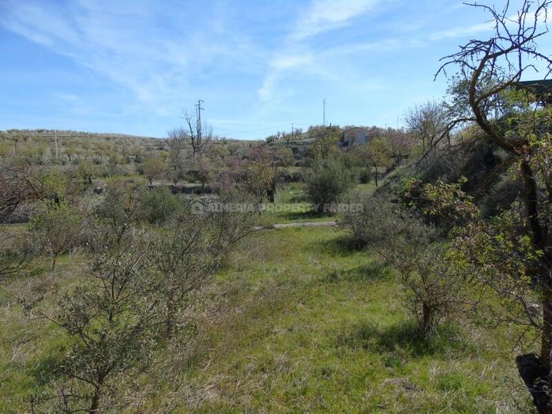 Grundstück zu verkaufen in Oria, Almería
