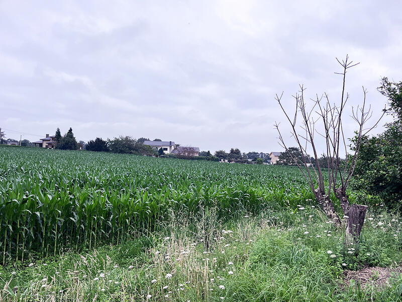 Terrenos en venta en , Asturias