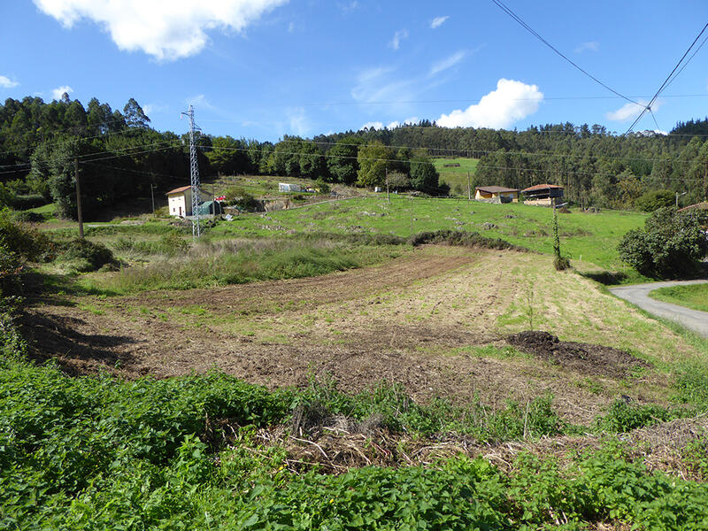 Landa till salu i Otero (Candamo), Asturias