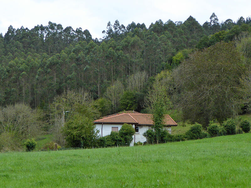 Lantställe till salu i Rañeces (Grado), Asturias