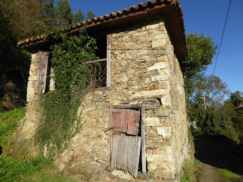 Lantställe till salu i Omedas, Asturias