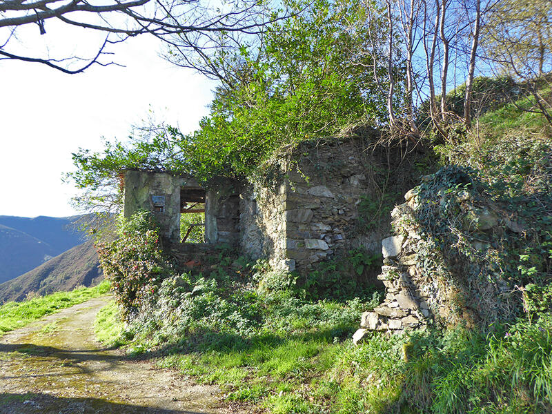 Lantställe till salu i Brañaseca, Asturias