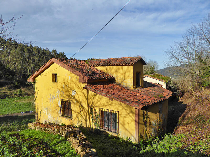 Landhuis Te koop in San Tirso de Candamo, Asturias