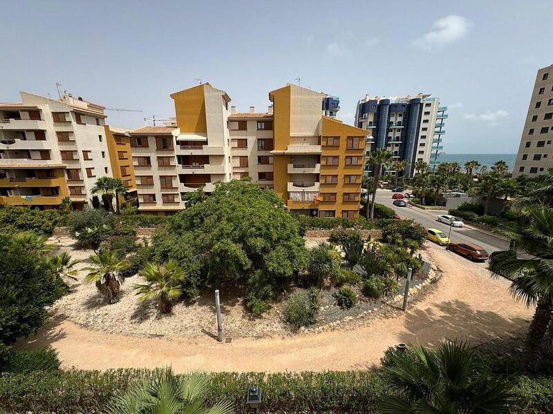 3 Cuarto Apartamento en venta