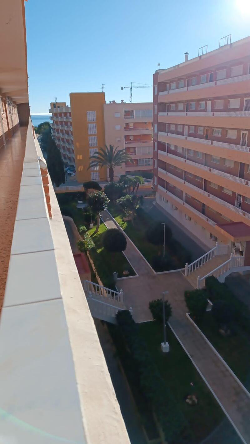 Apartamento en venta en Torrevieja, Alicante