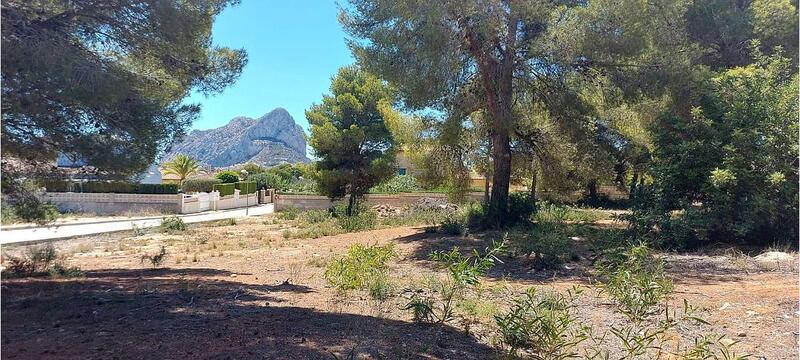 Land for sale in Calpe, Alicante