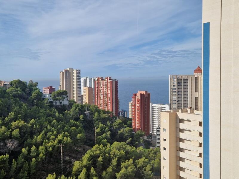 Apartamento en venta