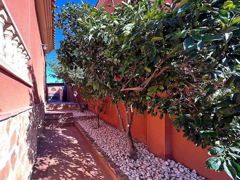 3 Cuarto Casa de Campo en venta