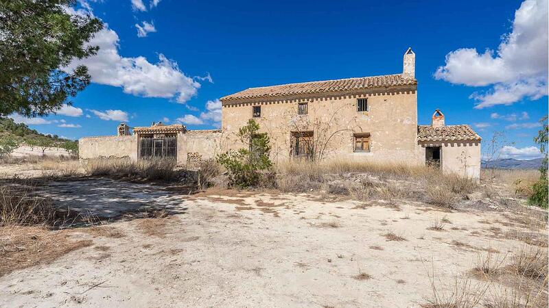 Terrain à vendre dans Calasparra, Murcia