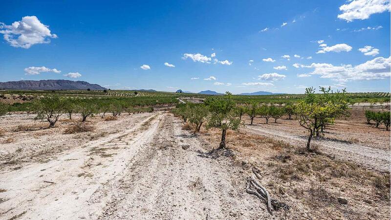 Land for sale