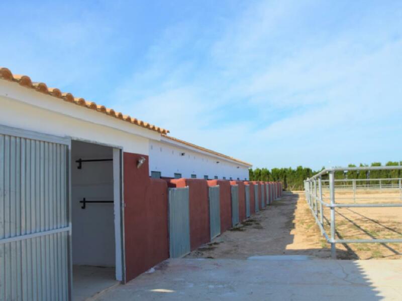 Grundstück zu verkaufen in San Miguel de Salinas, Alicante