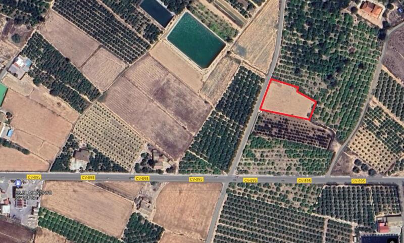 Land for sale in Guardamar del Segura, Alicante