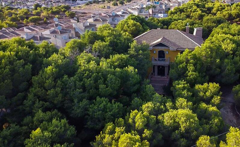 5 chambre Villa à vendre