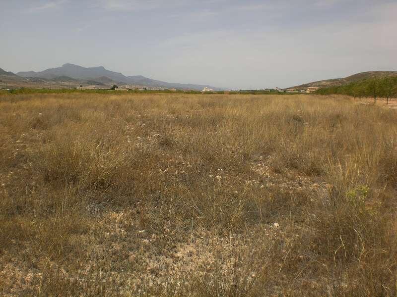 Land for sale