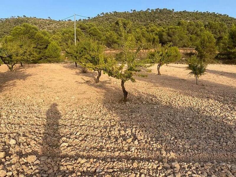 Terrain à vendre