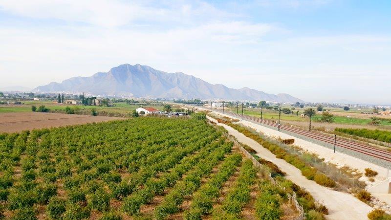 Lantställe till salu i Callosa de Segura, Alicante