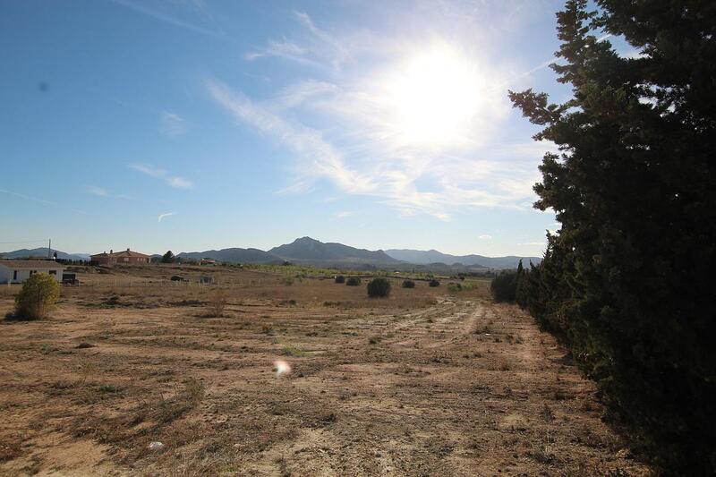 Land for sale in Sax, Alicante