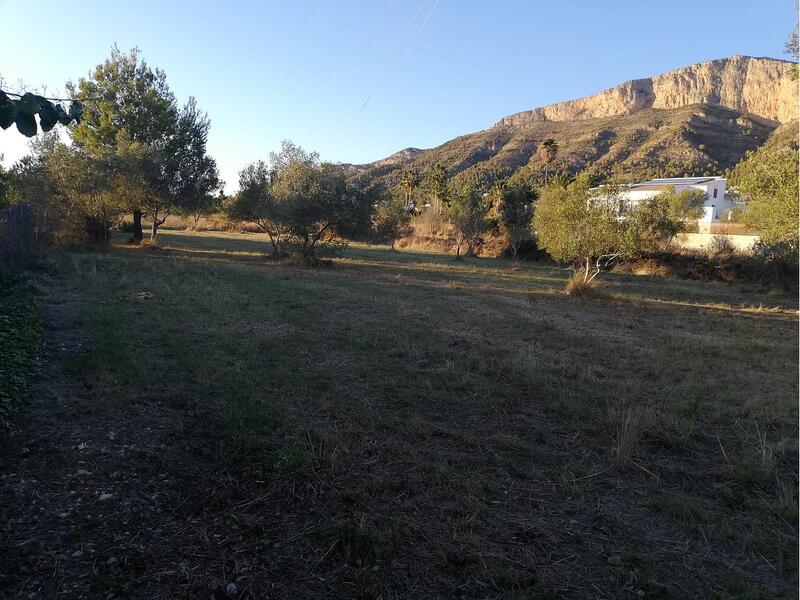 Terrenos en venta