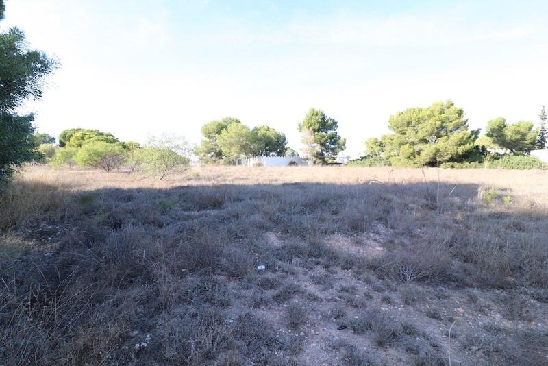 Land for sale