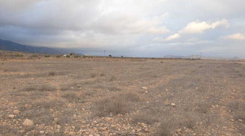 Land for sale in Pinoso, Alicante