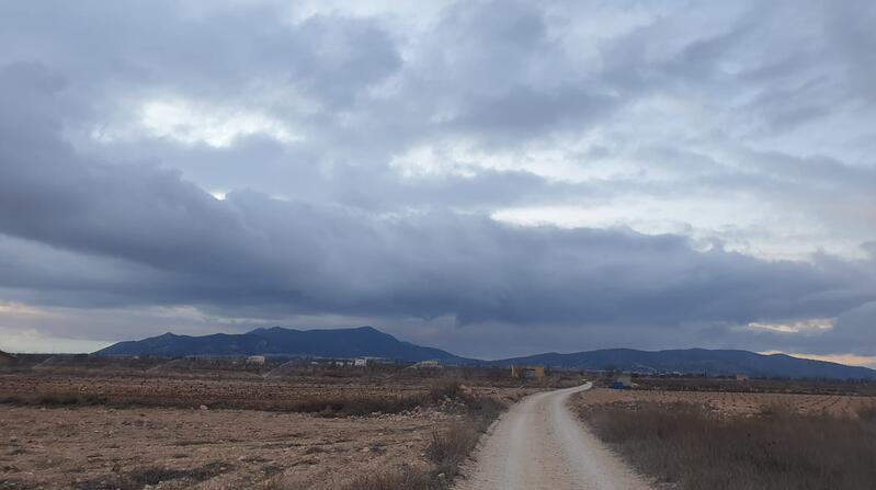 Land for sale in Pinoso, Alicante