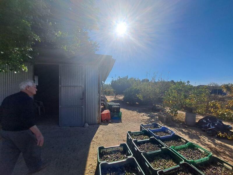 3 slaapkamer Gezinswoning Te koop