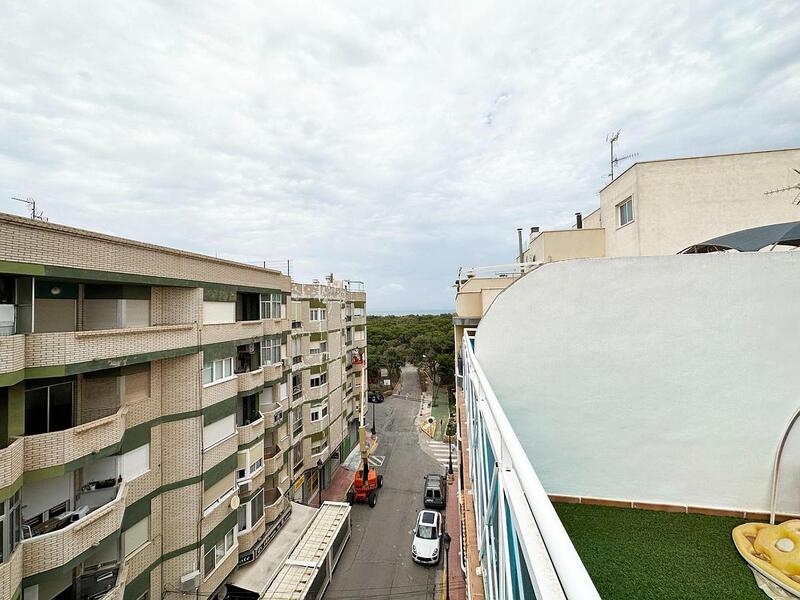 3 Cuarto Apartamento en venta