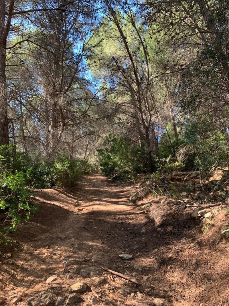 Terrain à vendre dans Benissa, Alicante