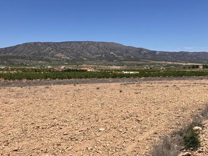 Land for sale in Pinoso, Alicante