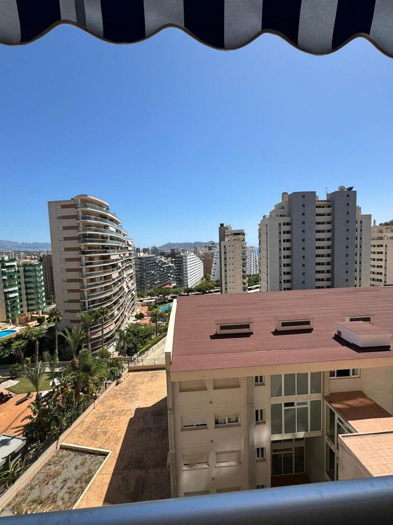 1 Cuarto Apartamento en venta