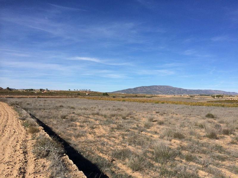 Land for sale in Pinoso, Alicante