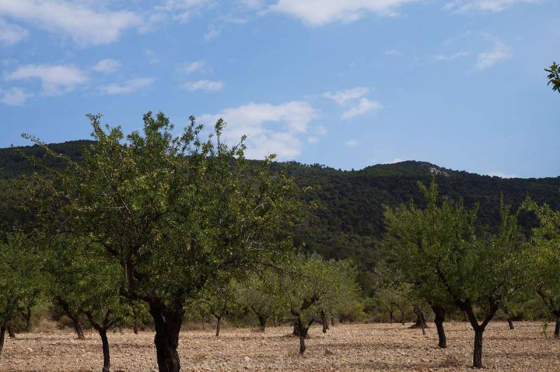 Terrenos en venta