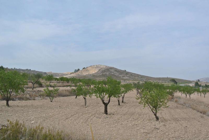 Terrain à vendre