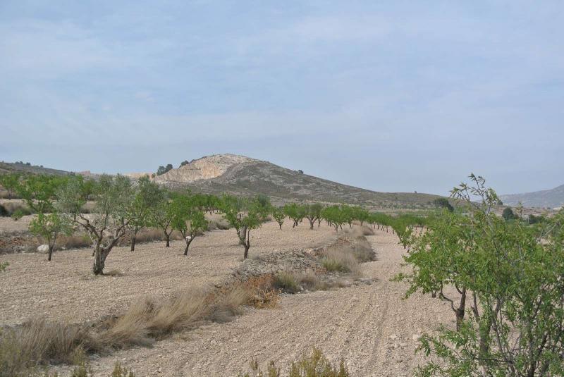 Terrain à vendre