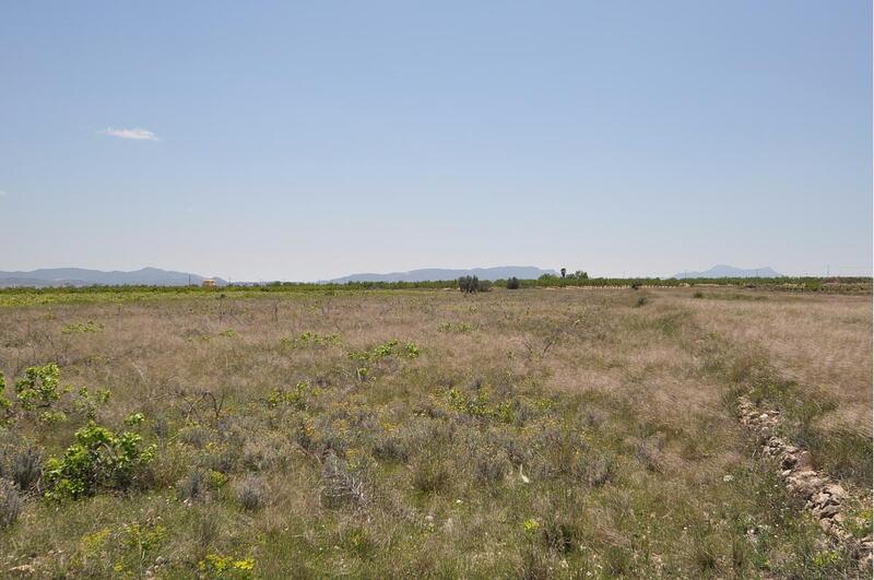 Terrenos en venta en Pinoso, Alicante