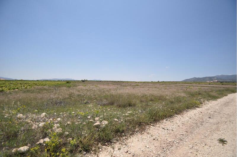 Land for sale