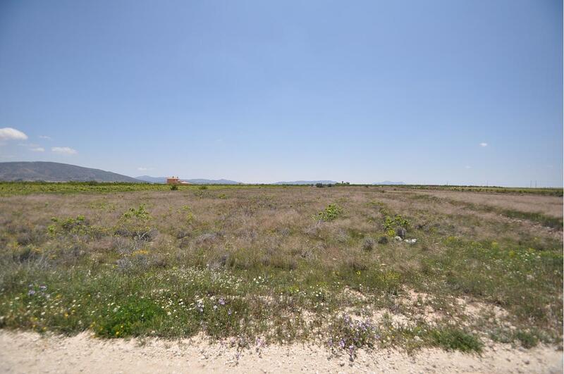 Land for sale