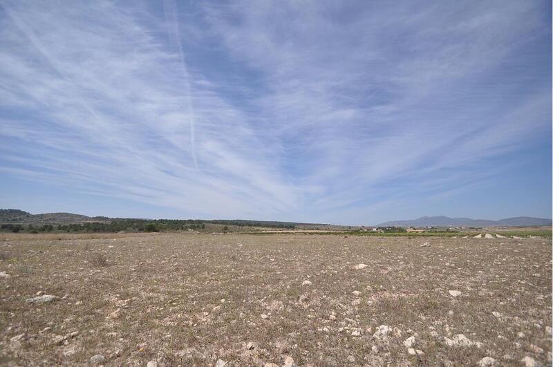 Terrain à vendre dans Pinoso, Alicante