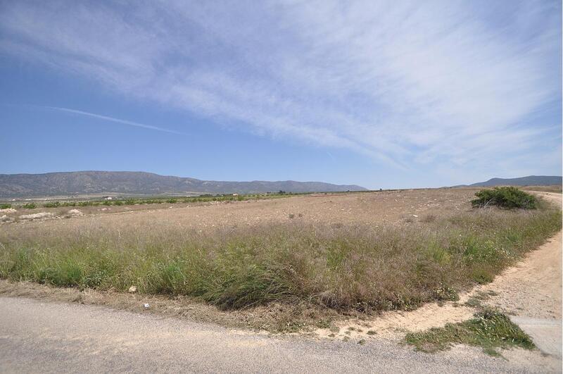 Land for sale