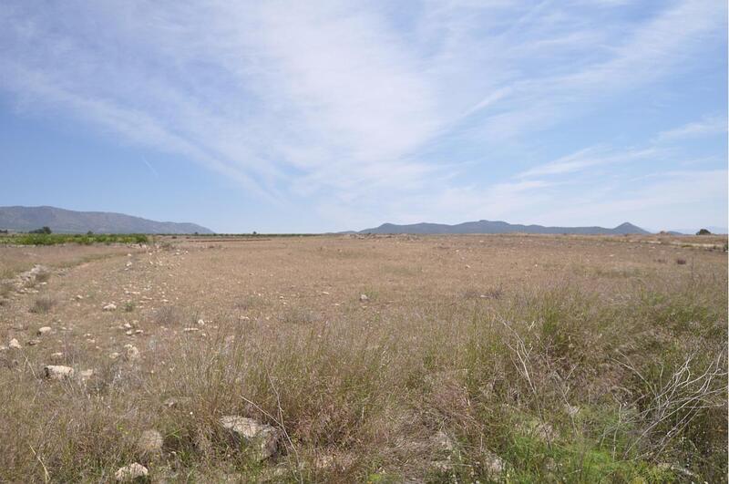 Land for sale