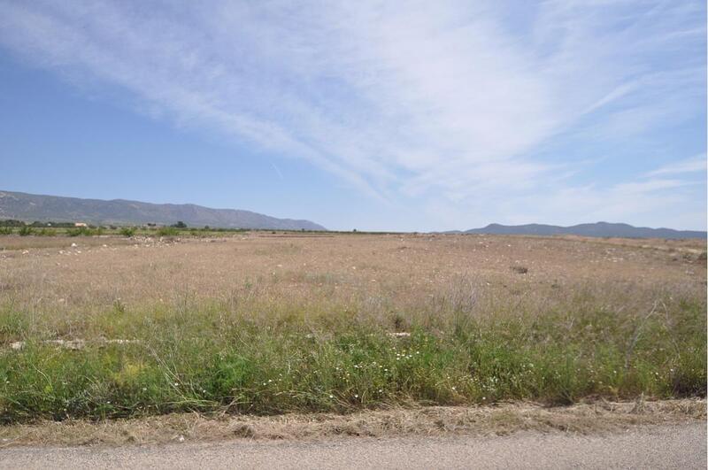 Land for sale