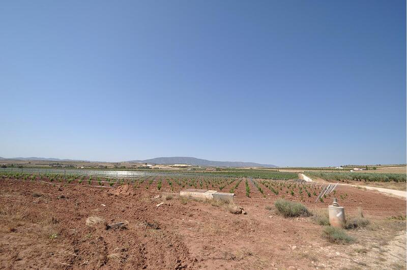 Landa till salu i Pinoso, Alicante