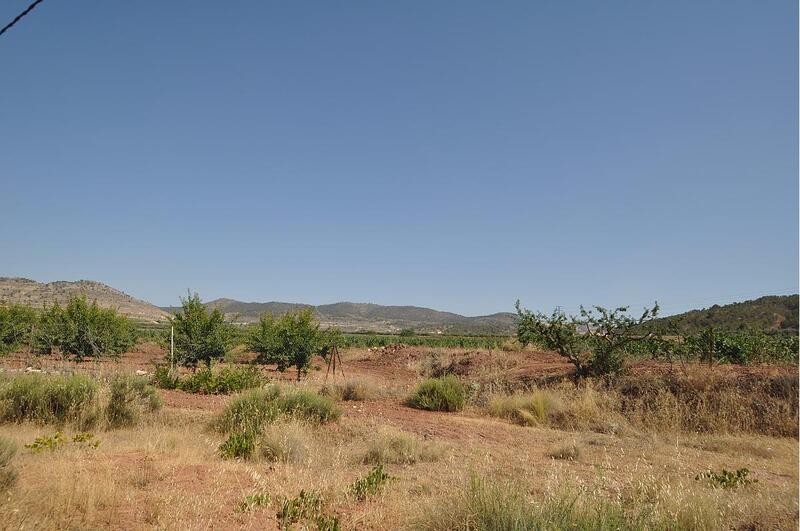 Land for sale in Pinoso, Alicante