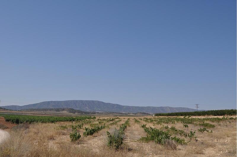 Land for sale in Pinoso, Alicante