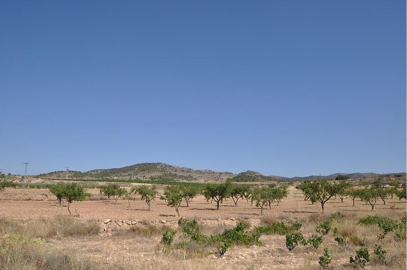 Terrain à vendre