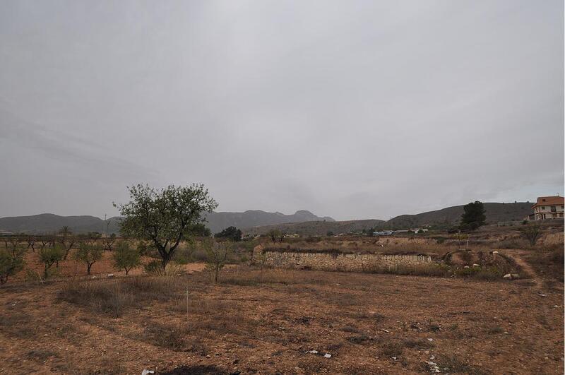 Land for sale in La Romana, Alicante