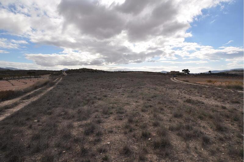 Terrenos en venta en Pinoso, Alicante