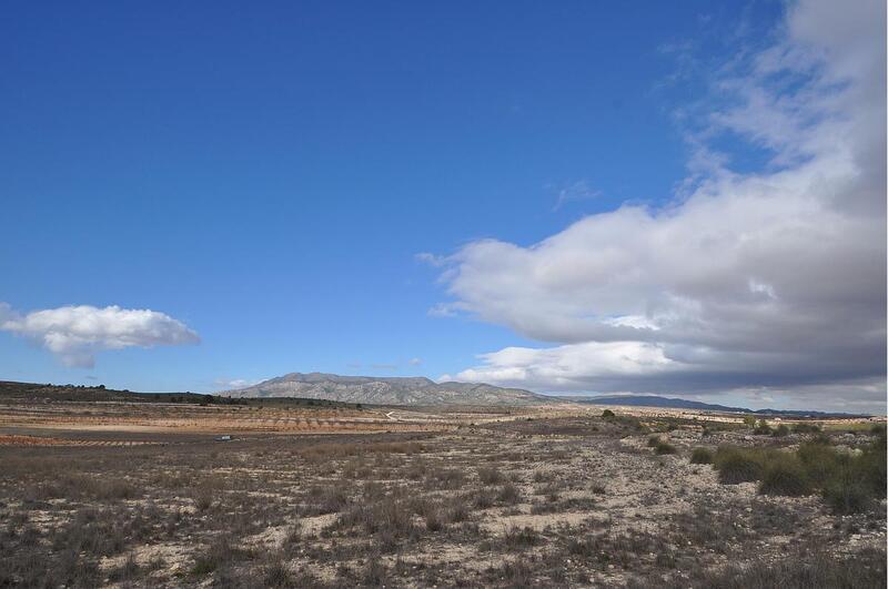 Terrenos en venta