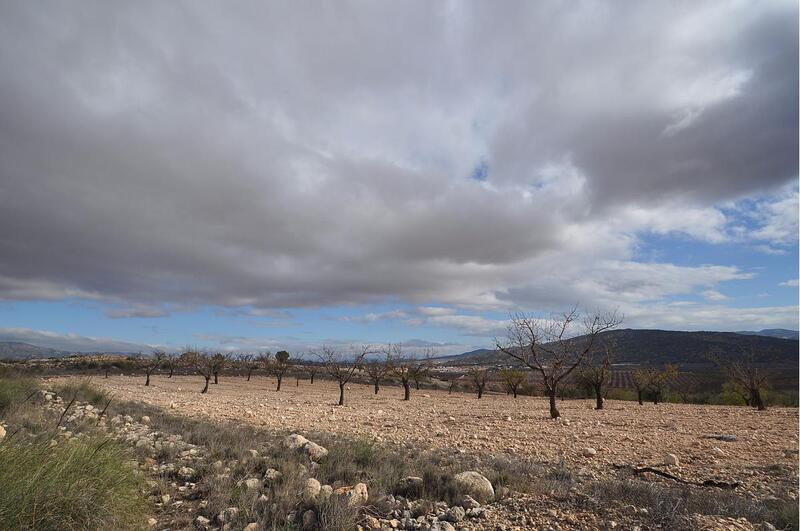 Terrenos en venta